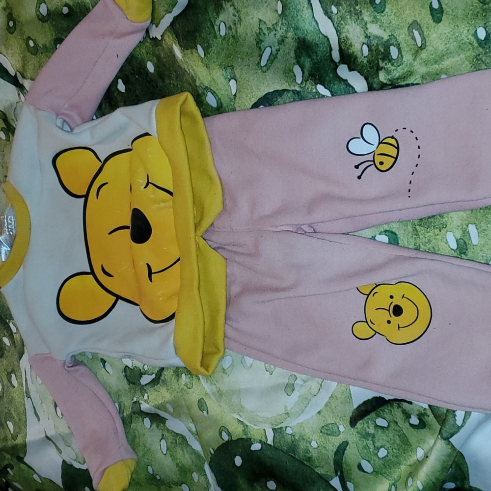 Winnie-the-Pooh